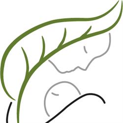 Mawaho, Udenhout openingstijden