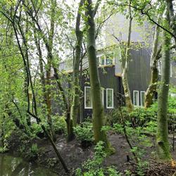 Villa Buitenlust, Amsterdam openingstijden