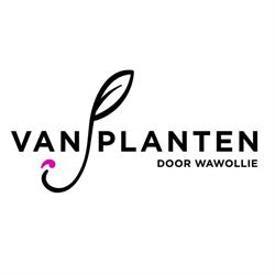 VanPlanten, Utrecht openingstijden