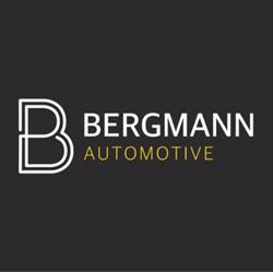 Bergmann Automotive B.V. (Bergmann auto’s & motoren), Ter Apel openingstijden