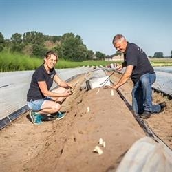 Aspergekwekerij Vos, Roosendaal openingstijden