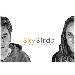 SkyBirds Drone Media, Leidschendam openingstijden