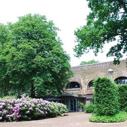 Lubbelinkhof, Odoorn openingstijden