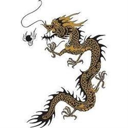 Kung Fu School Golden Dragon Amsterdam West, openingstijden