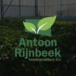 Antoon Rijnbeek Handelskwekerij BV, Boskoop openingstijden