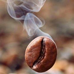 CoffeeRoastery Oud West, Amsterdam openingstijden
