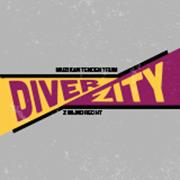 Muzikantencentrum Diverzity, Zwijndrecht openingstijden