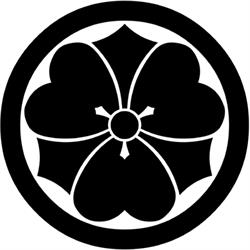 Kishinkai Aikido Amsterdam, openingstijden