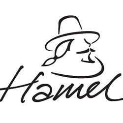 hendrick hamel museum, Gorinchem openingstijden