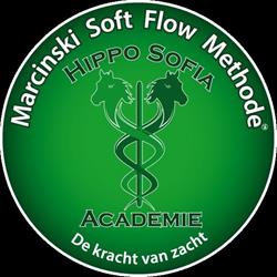 Hippo Sofia Academie, Hooge Mierde openingstijden