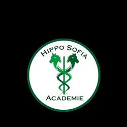 Hippo Sofia Academie, Hooge Mierde openingstijden