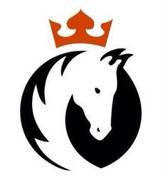 Paardenkliniek Hollands Kroon, Middenmeer openingstijden