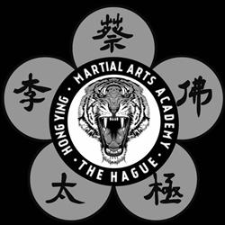 Hong Ying Martial Arts Academy The Hague, 's-Gravenhage openingstijden