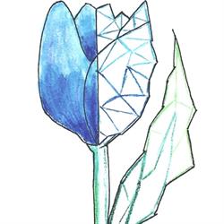 B&B De Blauwe Tulp, Noord-Scharwoude openingstijden