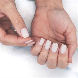 Laura's Nagelsalon, Sittard openingstijden