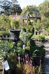 De Tuinkamer, Opperdoes openingstijden