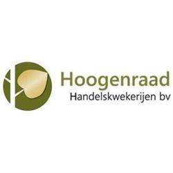 Hoogenraad Handelskwekerijen b.v., Ederveen openingstijden