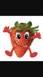 Aardbeienkwekerij Hoogsewetering, Pijnacker openingstijden