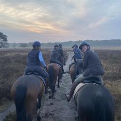 De Larense Manege B.V., openingstijden