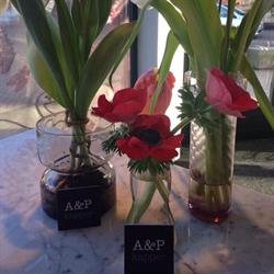 A&P kapper, Castricum openingstijden