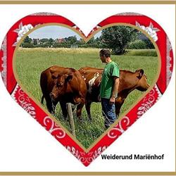 Weiderund.nl, Westmaas openingstijden
