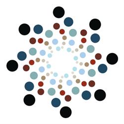 Dutchtaxadvice.nl, Haarlem openingstijden