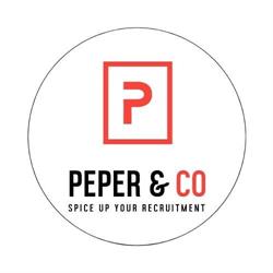 Peper & Co BV, Rotterdam openingstijden