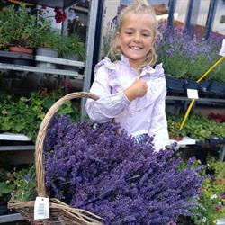Kamper Bloemenshop, Kampen openingstijden
