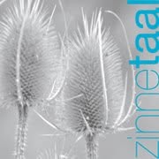 zinnetaal, Amersfoort openingstijden