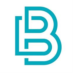 BrightBlocks B.V., Leiden openingstijden