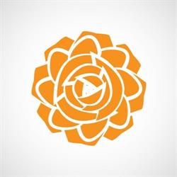 Dutch Rose Media, Eindhoven openingstijden