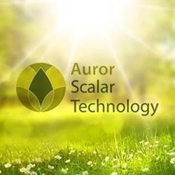 Auror Scalar Technology, Veldhoven openingstijden