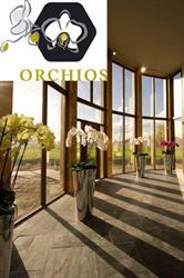 Orchios, Naaldwijk openingstijden