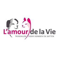 Trimsalon L'amour de la Vie, Putten openingstijden