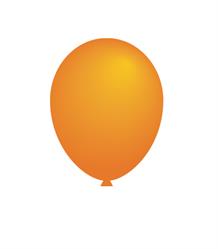 Ballonnenservice, Aalsmeer openingstijden