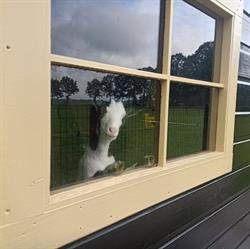 Boerderijappartementen & camping 't Katreel Haaksbergen, openingstijden