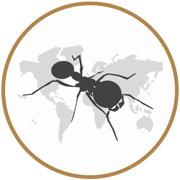 Ant's Kingdom, Apeldoorn openingstijden