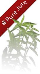 Pure Jute B.V., Cromvoirt openingstijden