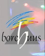 Borchuus, Varsseveld openingstijden