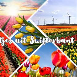 Kalverschuur, Swifterbant openingstijden