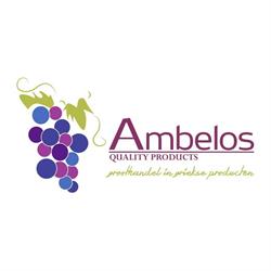 Ambelos BV, Nieuwegein openingstijden