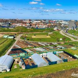 De Groene Stek, Den Helder openingstijden