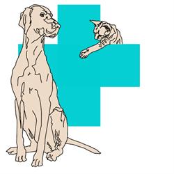 (Mobiele) Dierenkliniek Blaricum en het Gooi, openingstijden
