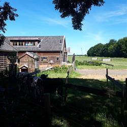 Kinderboerderij De Meent, Hilversum openingstijden