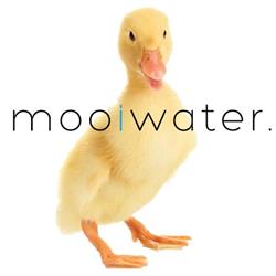 mooiwater, Dronten openingstijden