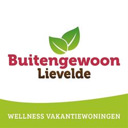 Buitengewoon Lievelde, openingstijden
