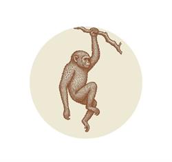 La Selva, Roggel openingstijden