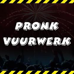 Pronk Vuurwerk, Sint Maarten openingstijden