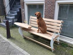 Kien met Hout, Gorssel openingstijden
