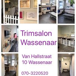 Trimsalon Wassenaar, openingstijden